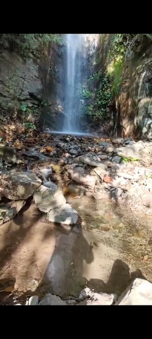 Plot Area in  Land at Mukteshwar – for Sale