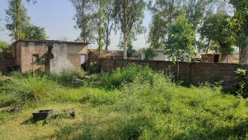  Warehouse – Exterior View View at Bantalab - for Rent