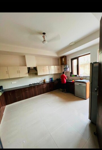 Kitchen in 3 BHK Builder Floor at Milan CGHS, Sector 39 – for Rent