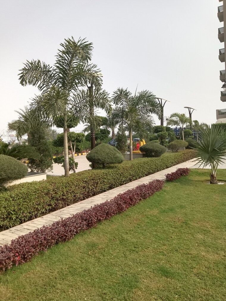 Garden, eureka-diya-green-city 2 Bedroom 968 Sq.Ft. Apartment In Raj Nagar Extension Ghaziabad 8561553