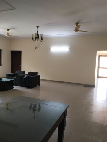 Living Room in 3.5 BHK Independent House at RWA Apartments Sector 71, Sector 71 – for Rent