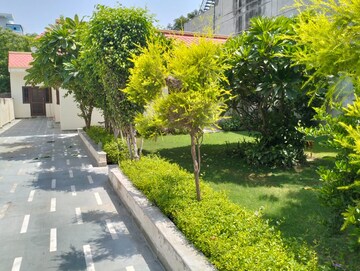 3.5 BHK Independent House For Rent in RWA Apartments Sector 71, Sector 71