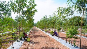 Plot Area in  Plot at Begum Bazar – for Sale