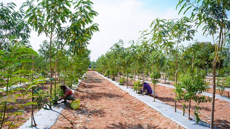 undefined, begum bazar  121 Sq.Yd. Plot In Begum Bazar Hyderabad 8561652