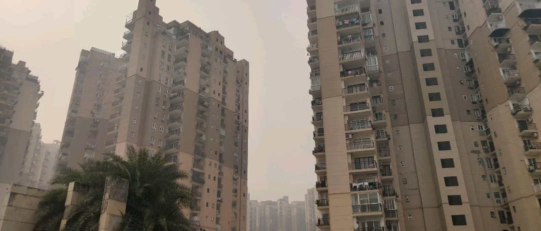 2 BHK + Pooja Room Apartment For Sale in Logix Blossom County