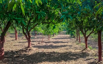 Land For Sale in Ambawadi