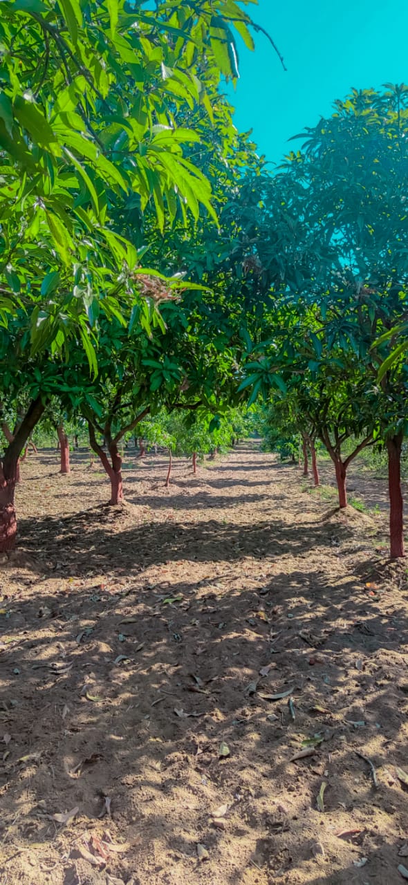 Land For Sale in Ambawadi