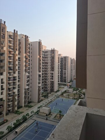 2.5 BHK Apartment For Rent in Amrapali Leisure Park, Amrapali Leisure Valley