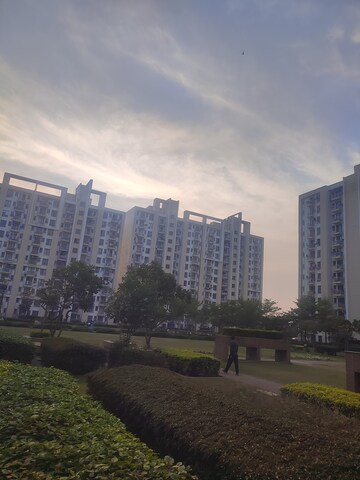2 BHK Apartment For Rent in Unitech The Residences Sector 33, Sector 33