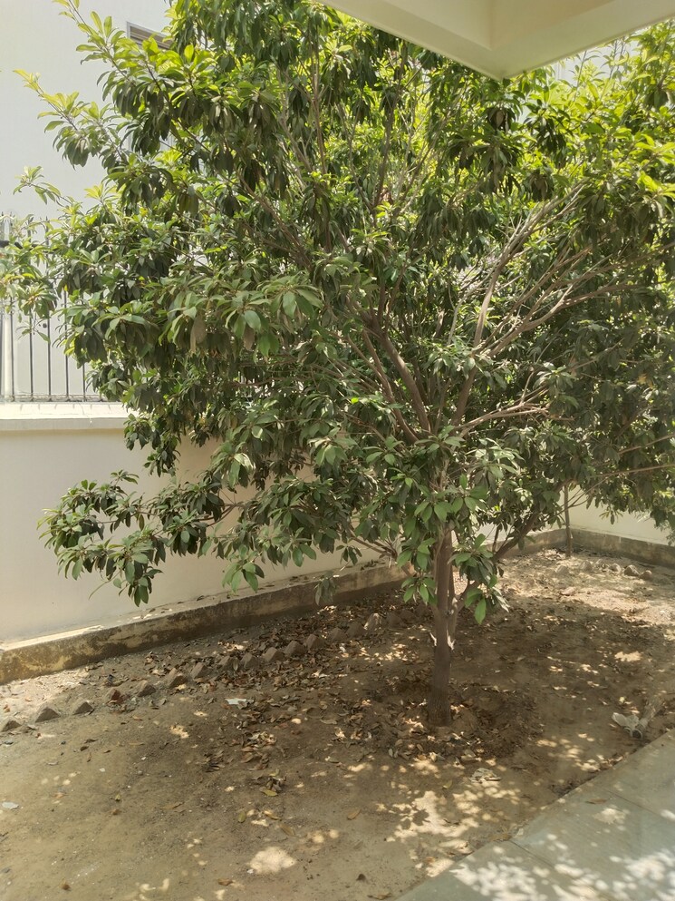 Master Bedroom, vatika-signature-villas 3.5 Bedroom 240 Sq.Yd. Villa In Sector 82 Gurgaon 8562593