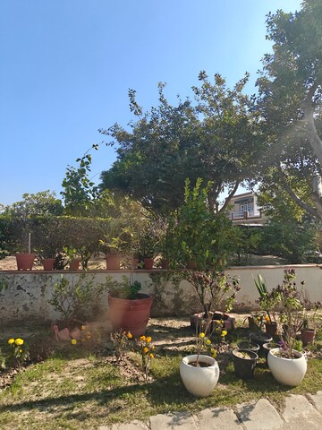  Plot – Exterior View View at Sector 109 - for Sale