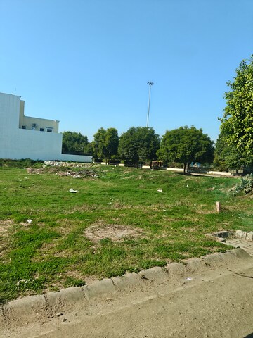 Plot Area in  Plot at Sector 109 – for Sale