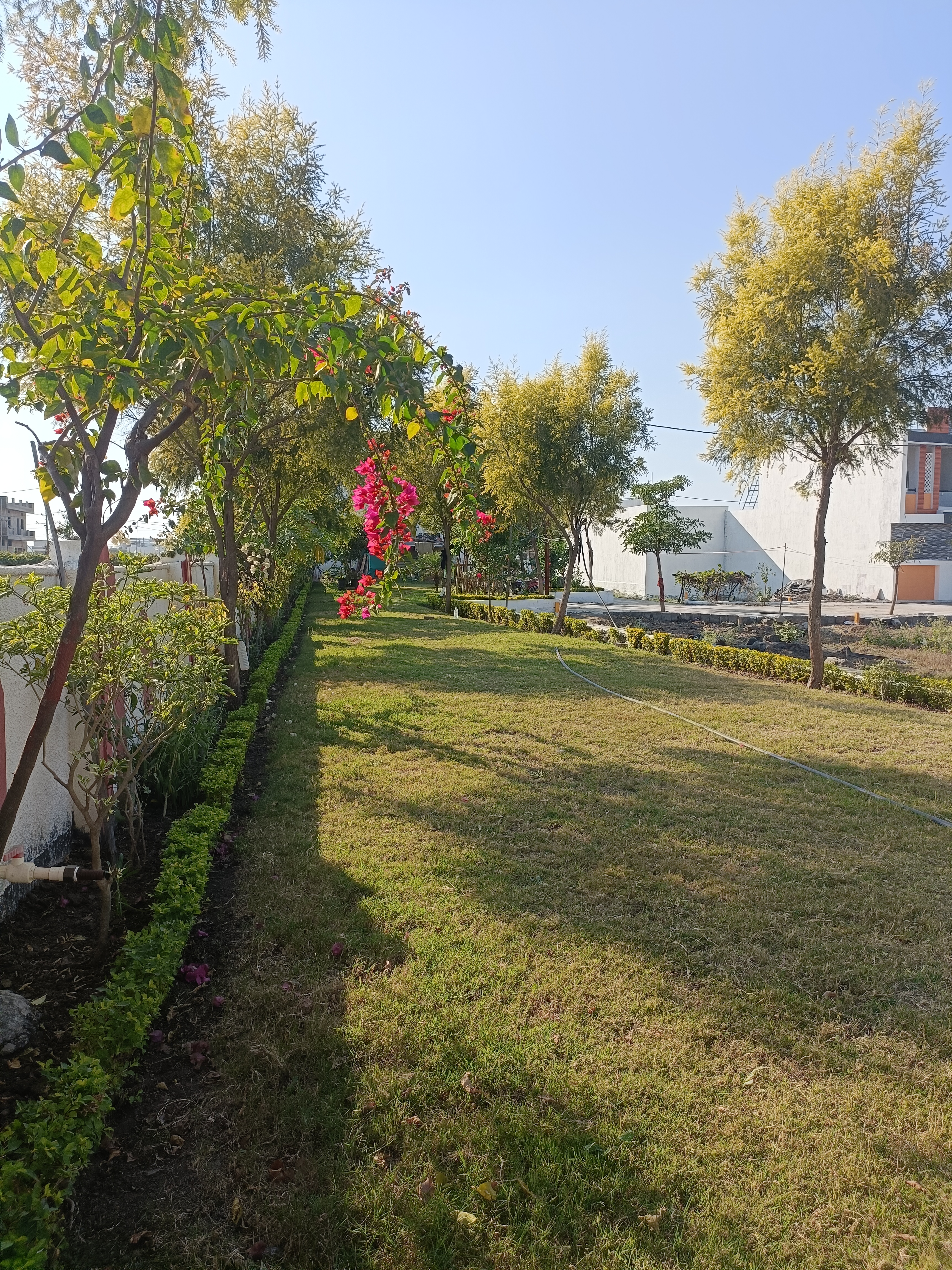 Plot For Sale in M Icon 