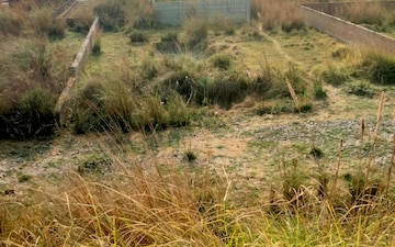 Plot For Sale in Faizabad Road