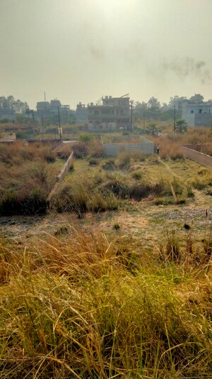 Plot Area in  Plot at Faizabad Road – for Sale