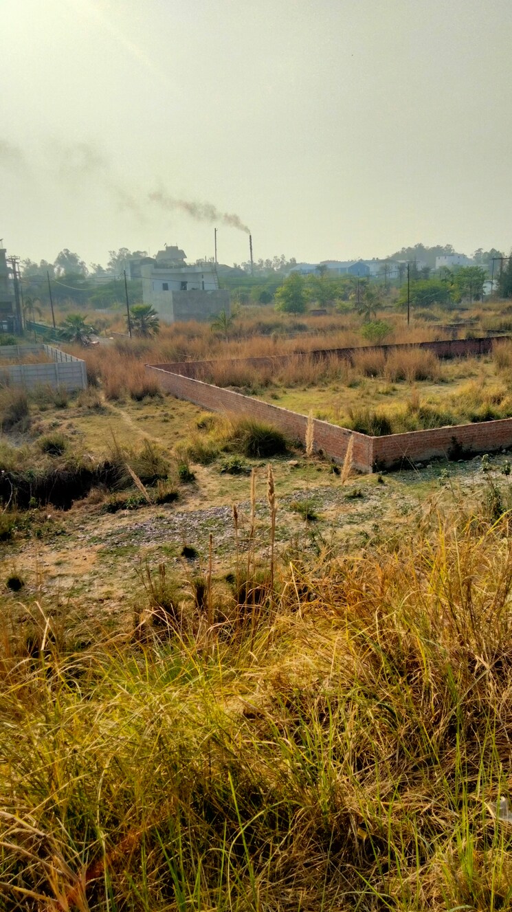 undefined, faizabad road  8110 Sq.Ft. Plot In Faizabad Road Lucknow 8563586