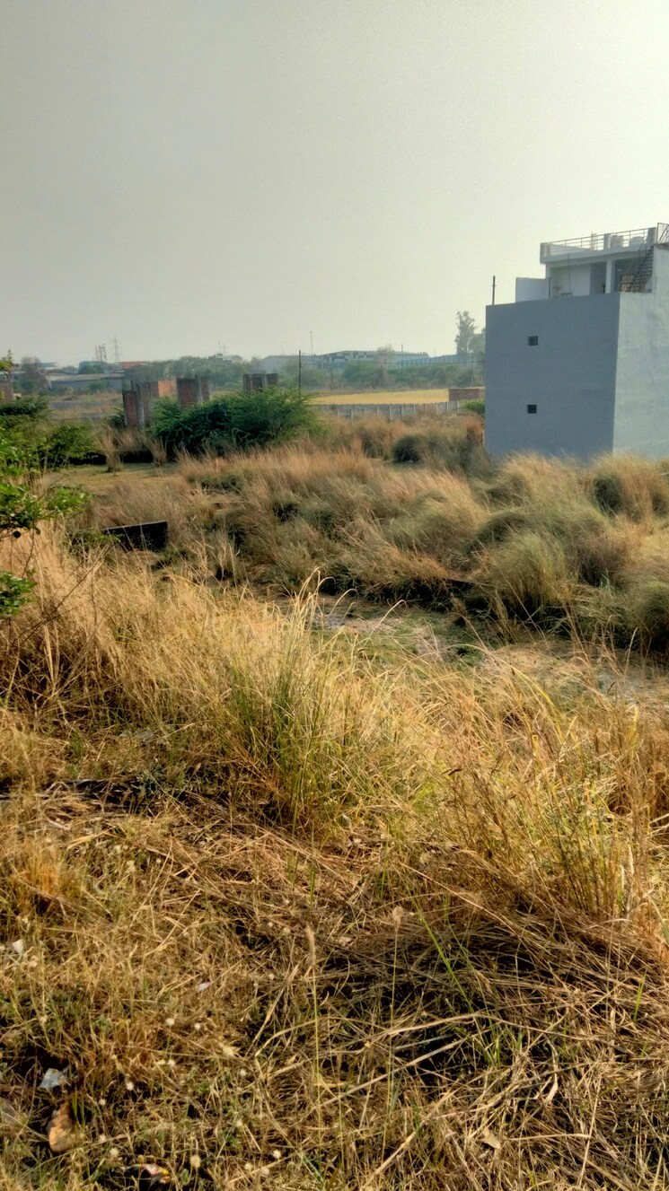 undefined, faizabad road  8110 Sq.Ft. Plot In Faizabad Road Lucknow 8563586