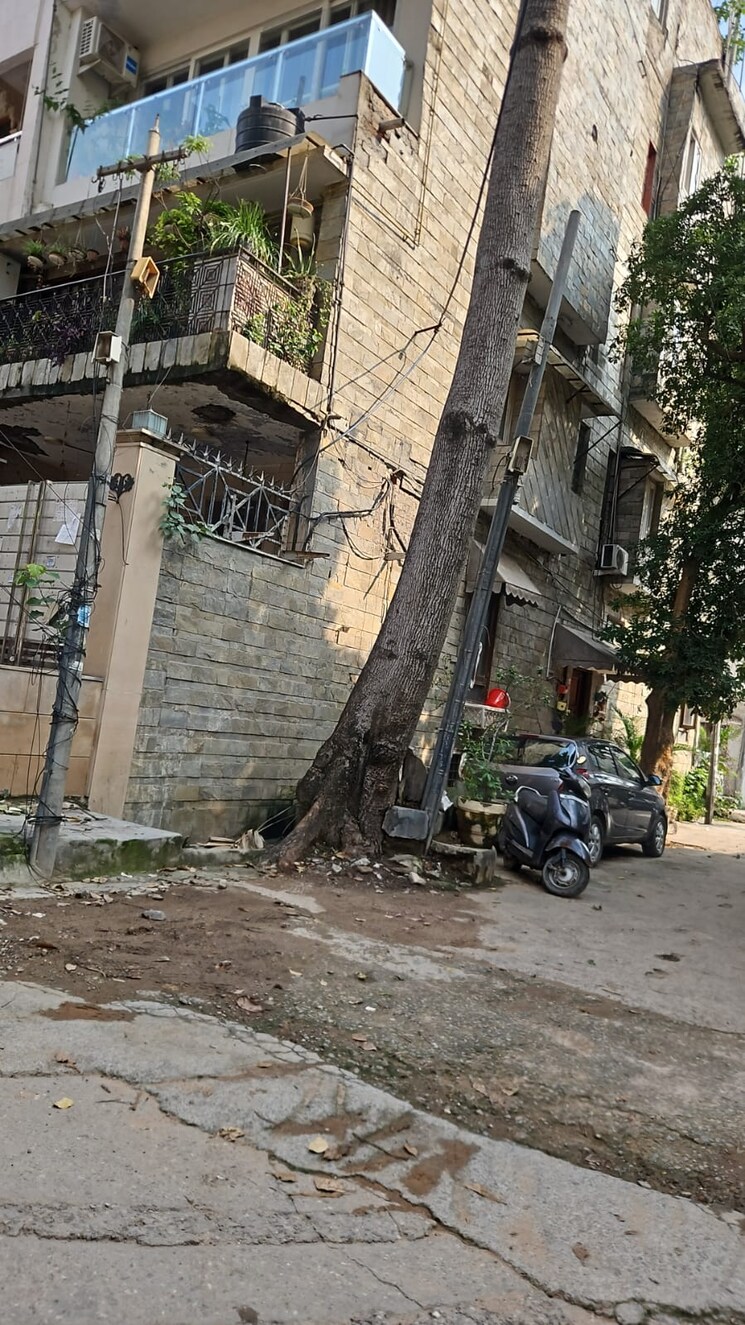 Exterior View, naraina 4 Bedroom 235 Sq.Mt. Builder Floor In Naraina Delhi 8565325