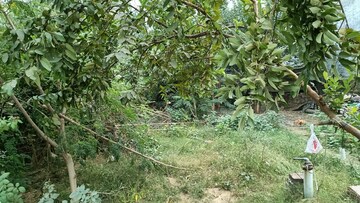  Plot For Sale in Wazirganj