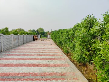  Plot For Sale in Mansha Oaks, Sector 98