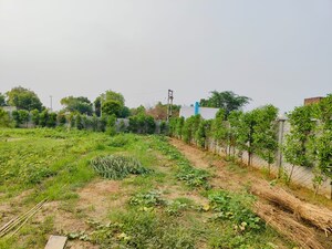 Plot Area in  Plot at Mansha Oaks, Sector 98 – for Sale