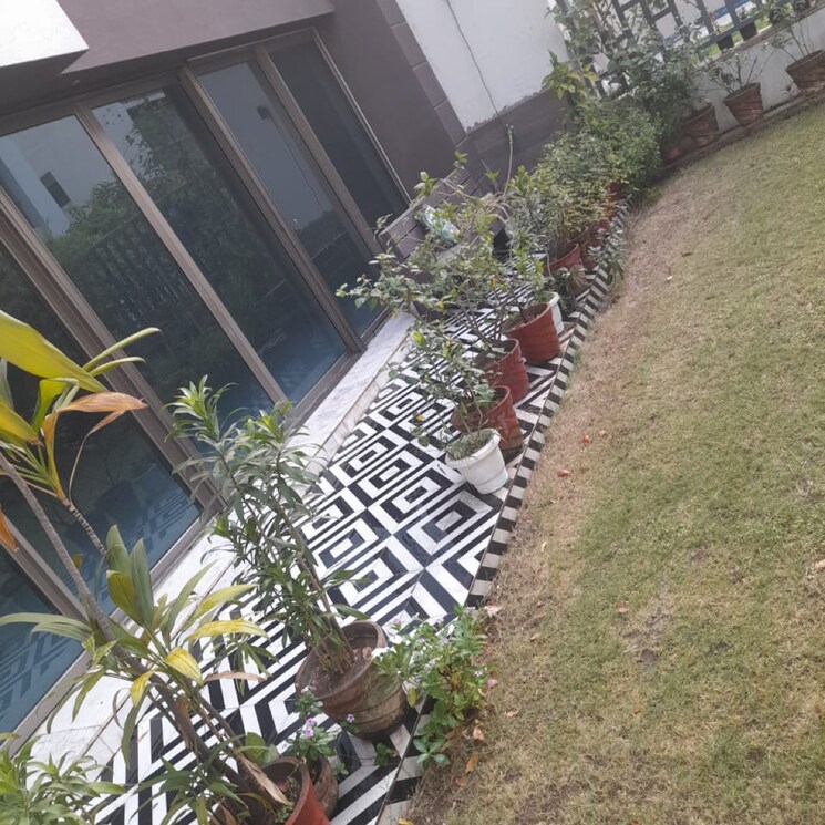 Exterior View, tata-primanti-villas 5 Bedroom 450 Sq.Yd. Villa In Dhani Gurgaon 8565810