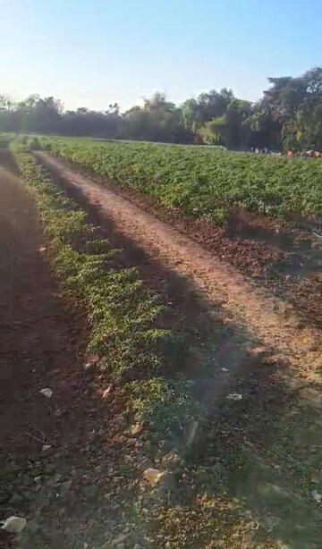  Land For Sale in Mahan