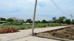 144 Sq.Yd. Plot in Sector 27 Yamuna Expressway