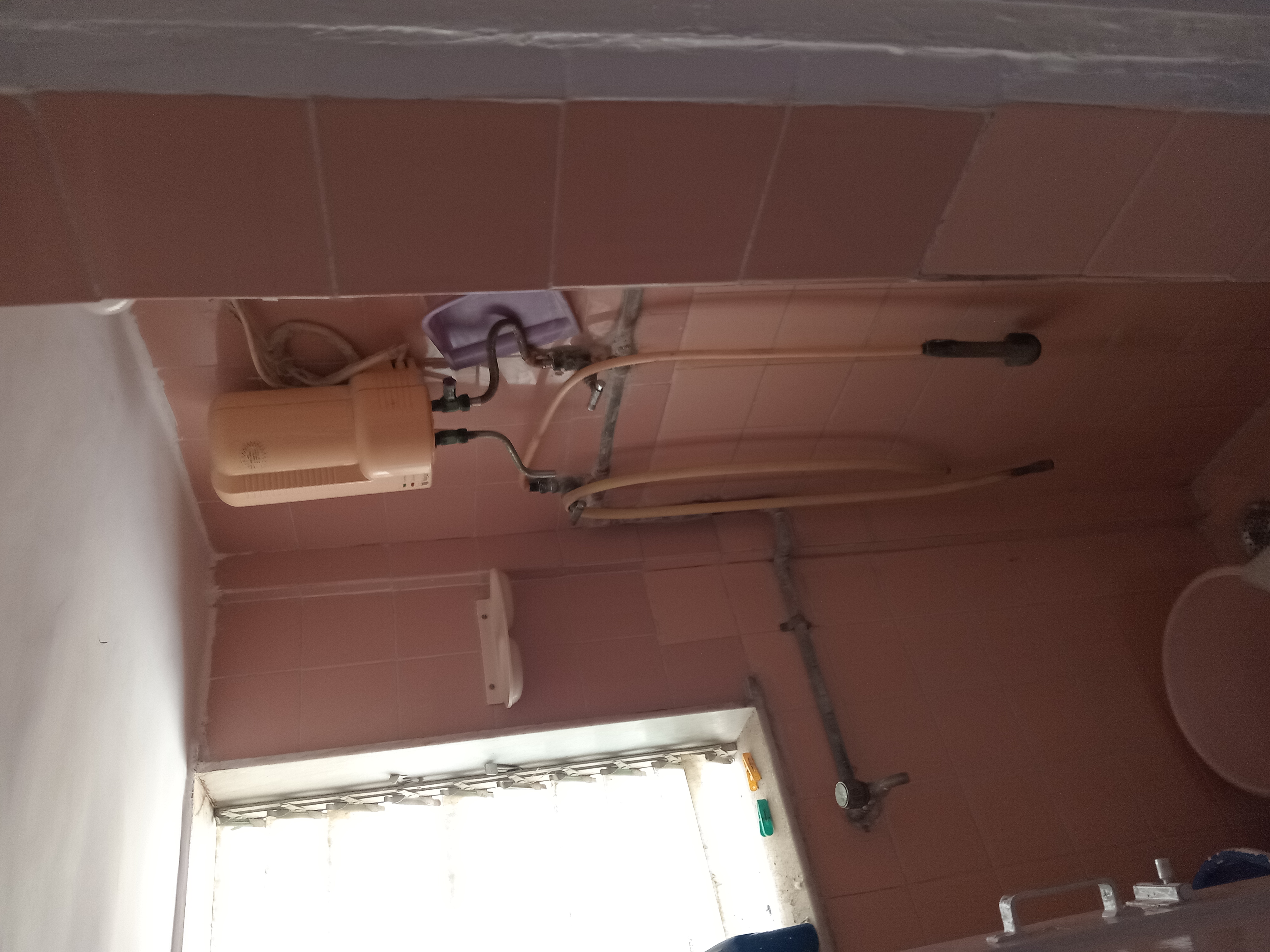 2 BHK Apartment For Rent in Anjali Chs Varsova