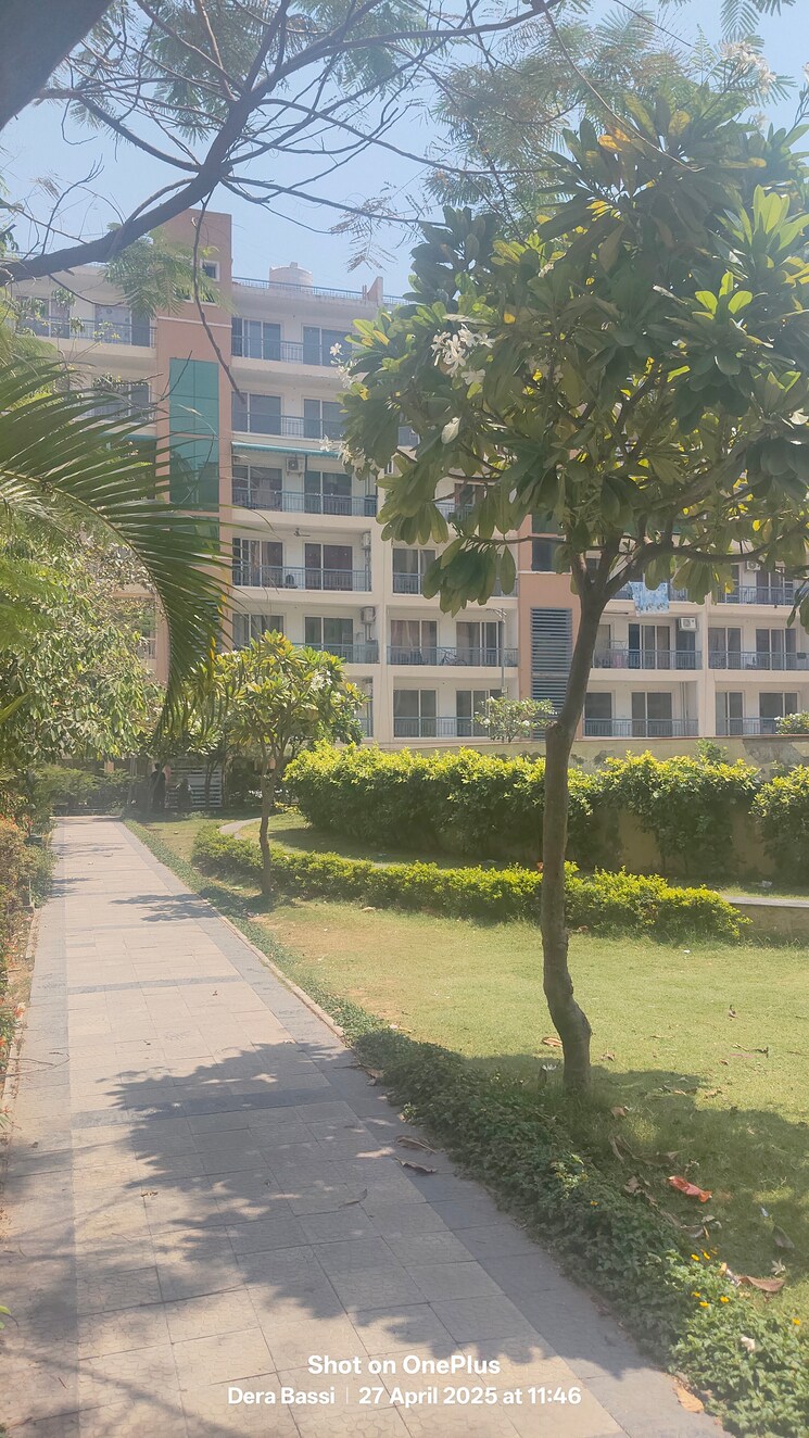 Exterior View, dera bassi 3 Bedroom 1450 Sq.Ft. Apartment In Dera Bassi Mohali 8569839