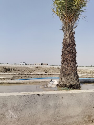  Plot – Exterior View View at Chaumuhan - for Sale
