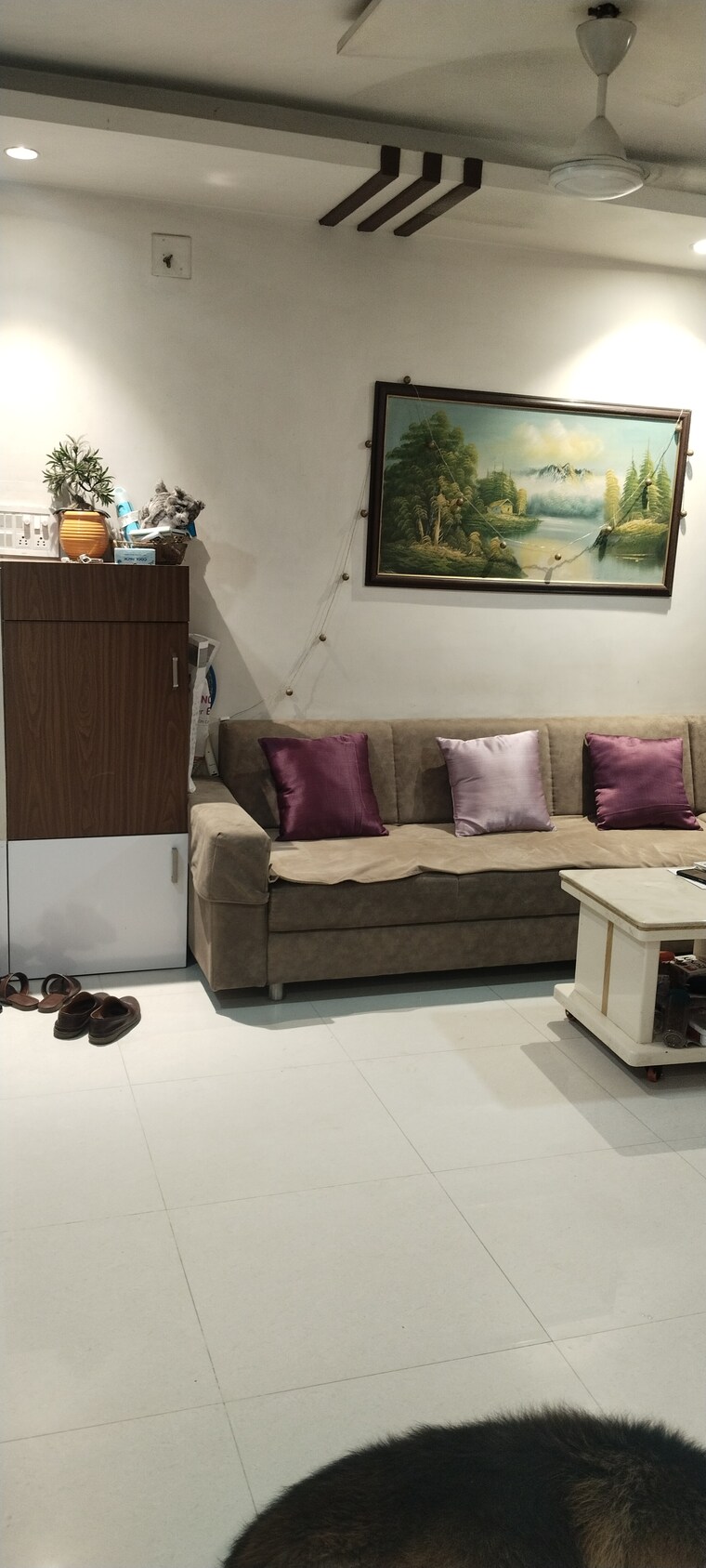 Living Room, satellite 2 Bedroom 1100 Sq.Ft. Apartment In Satellite Ahmedabad 8569992