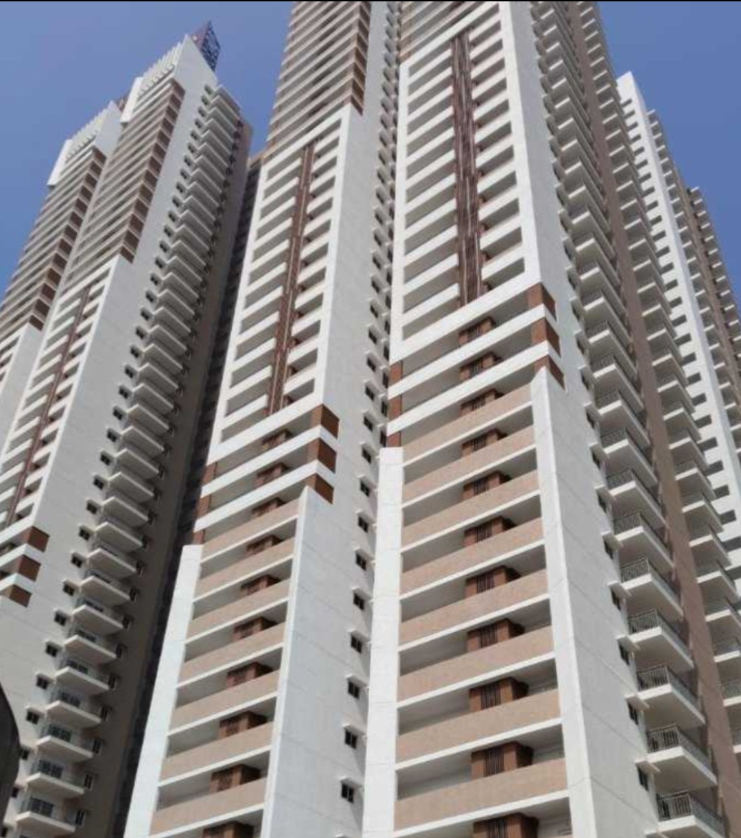 3 BHK + Pooja Room Apartment For Rent in Rajapushpa Provincia