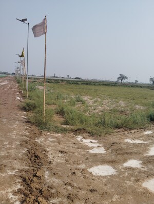 Plot Area in  Plot at Chhata – for Sale