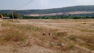 Plot Area in  Plot at Chhata – for Sale