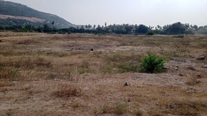 Plot Area in  Plot at Chhata – for Sale