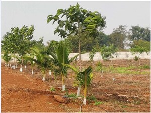  Plot For Sale in Chhata