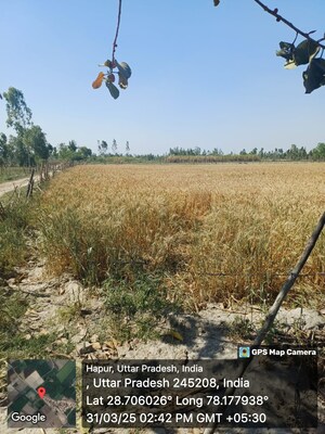 Plot Area in  Plot at Chhata – for Sale