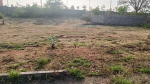 Plot Area in  Plot at Chhata – for Sale