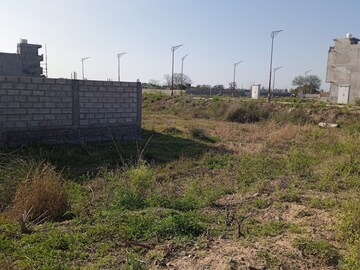 Plot Area in  Plot at Sector 118 – for Sale
