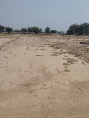 Plot Area in  Plot at Sector 16 A – for Sale