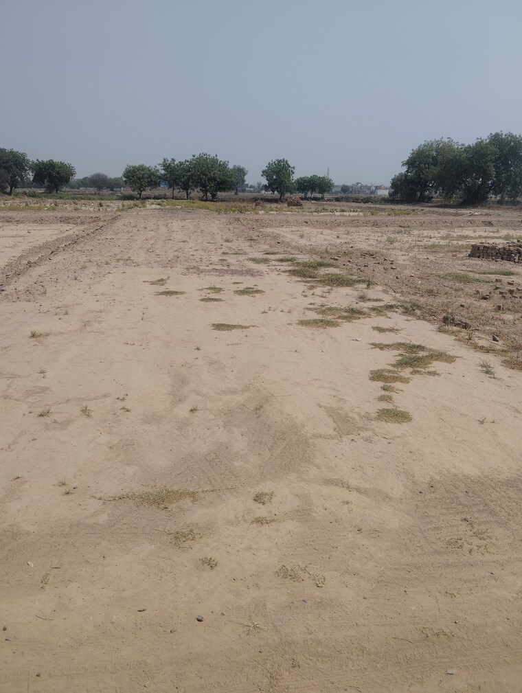 undefined, sector 16 a  450 Sq.Ft. Plot In Sector 16 A Faridabad 8570544