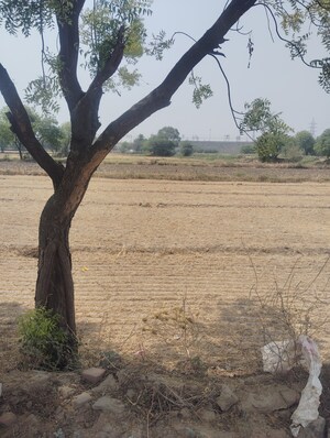 Plot Area in  Plot at Sector 16 A – for Sale