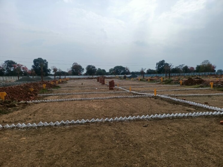 undefined, panagar  1000 Sq.Ft. Plot In Panagar Jabalpur 8571118