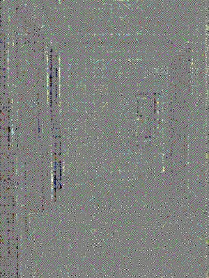 Furnished Amenities in 3 BHK Apartment at Magarpatta Nova Residency, Mugawade – for Sale