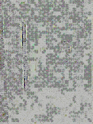 Bathroom in 2 BHK Apartment at Magarpatta Nova Residency, Mugawade – for Sale