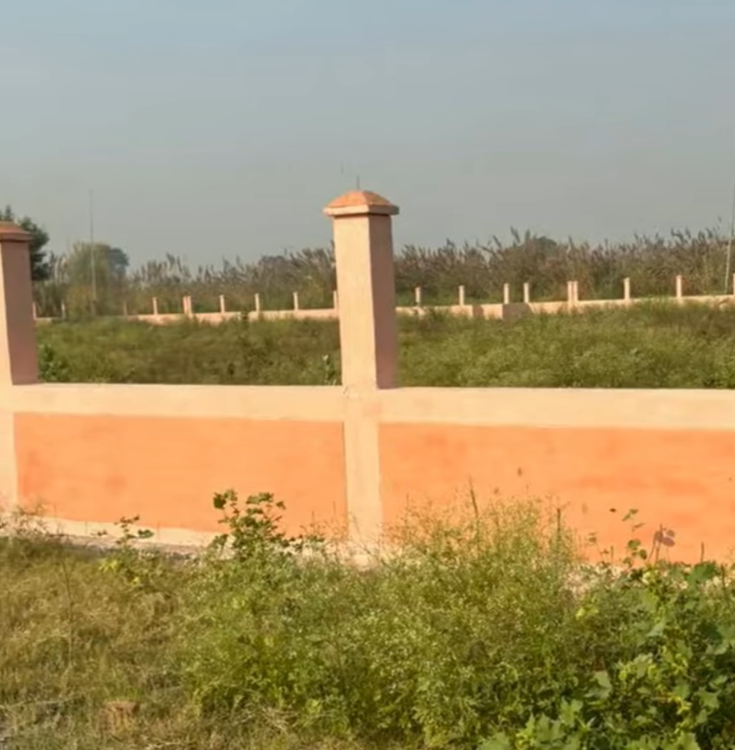 Plot For Sale in Yamuna Expressway Authority Flat