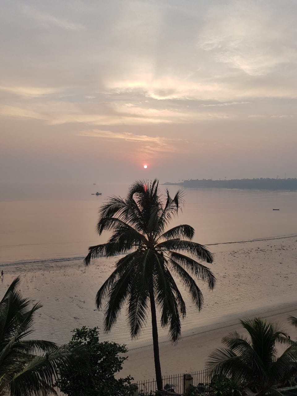 2 BHK + Extra Room Apartment For Rent in Ganga Bhavan