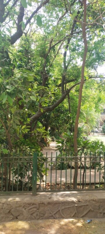 3 BHK Builder Floor – Garden View at Malviya Nagar - for Rent