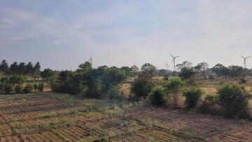 Plot Area in  Land at Pappampatti – for Sale